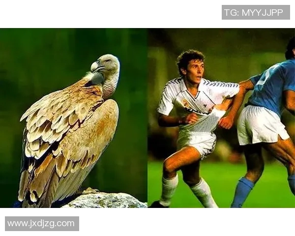 足球明星的奇葩外号揭秘你知道多少个有趣的称呼吗 足球明星的奇葩外号揭秘你知道多少个有趣的称呼吗